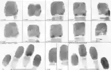 Fingerprint cards-logo